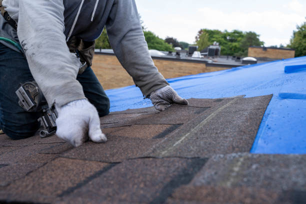 Best Residential Roofing Contractor  in Forest Heights, TX