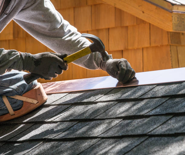 Best Local Roofing Companies  in Forest Heights, TX